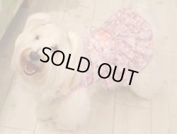 画像2: エアリアル☆ベロアＴワンピ（ローズ）・３号