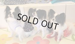 画像3: レインドロップＴワンピ（ネイビー）・８号