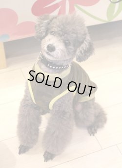 画像3: ボンバーヒートのカモフラＴ（グリーン）・８号