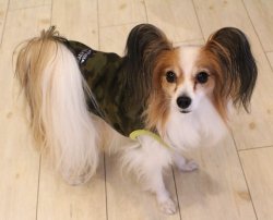 画像2: ボンバーヒートのカモフラＴ（グリーン）・７号