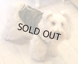 画像7: ボンバーヒートのカモフラＴ（グリーン）・８号