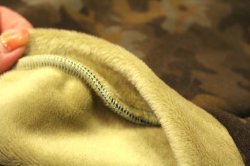 画像11: ボンバーヒートのカモフラＴ（グリーン）・７号