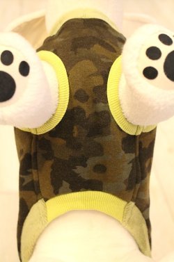 画像10: ボンバーヒートのカモフラＴ（グリーン）・７号