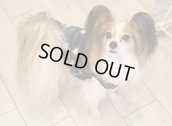 画像3: 星柄マイクロフリースＴ（オフブラック）・３号