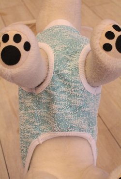 画像7: ツィード風ストレッチＴ（アクア）・６号