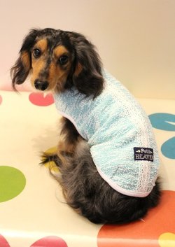 画像2: ツィード風ストレッチＴ（アクア）・６号