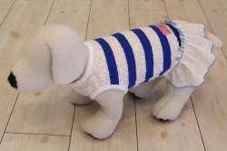 画像6: レーシーボーダーのマリンＴワンピ・３号