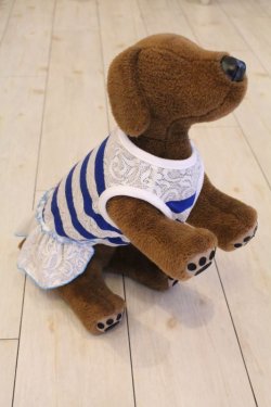 画像5: レーシーボーダーのマリンＴワンピ・３号