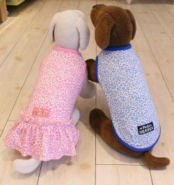 画像6: ベア天竺レオパードタンク（ブルー）・１号