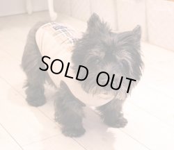 画像2: テッキングタータン ストレッチタンク（ベージュ）・１０号