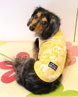 画像2: トラフィックサインＴ（イエロー）・２号