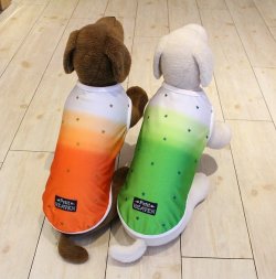 画像9: ツーウェイプリント☆グラデーションタンク（オレンジ）・２号