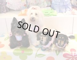 画像3: ツーウェイ☆マーブルＴワンピ・５号