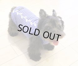 画像2: ロイヤルブルーのギンガムタンク・３号