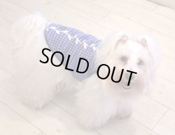 画像3: ロイヤルブルーのギンガムタンク・３号