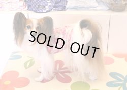 画像3: ピンクガーデンタンク・３号