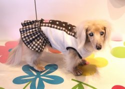 画像3: 星＆チェック柄ラインＴワンピ（ブラウン）・８号