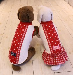 画像7: 星＆チェック柄ラインＴ（レッド）・４号