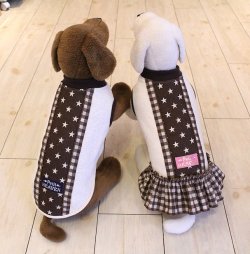 画像7: 星＆チェック柄ラインＴ（ブラウン）・９号