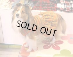 画像3: オレンジチェック柄フリースＴワンピ・２号