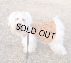 画像4: オレンジチェック柄フリースＴワンピ・２号