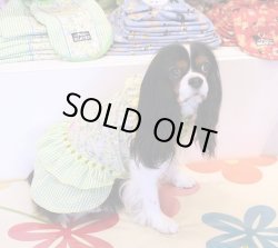 画像5: ラビット×ギンガム柄キャミワンピ・３号