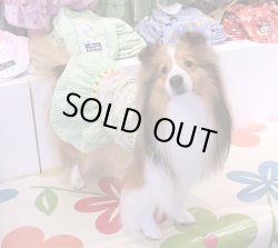 画像4: ラビット×ギンガム柄キャミワンピ・３号