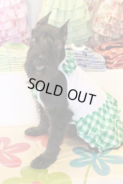 画像5: グリーンチェック柄フリルワンピ・６号