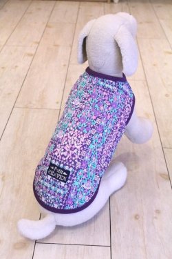 画像4: バイオレットガーデンタンク・３号