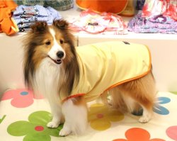 画像4: 《超撥水》レインパーカー（イエロー）・２号