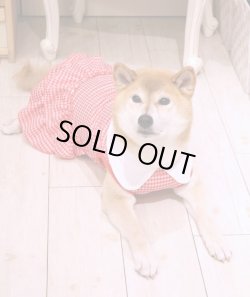 画像4: 白襟付き☆ギンガムチェック柄Ｔワンピ（レッド）・９号