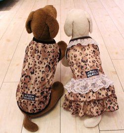 画像6: シースルー☆レオパード柄キャミワンピ（ブラウン）・１号