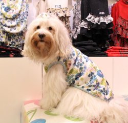 画像4: シントロンスムースのボタニカル柄タンク（ホワイト）・２号