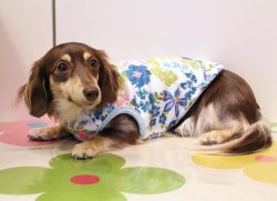 画像2: シントロンスムースのボタニカル柄タンク（ホワイト）・２号