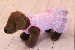 画像6: シフォンフリルのモンステラ柄ワンピ（ピンク）・６号