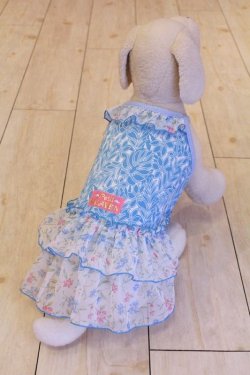 画像4: シフォンフリルのモンステラ柄ワンピ（アクア）・４号