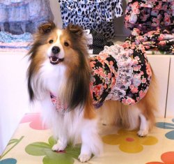 画像2: さくら柄リップルワンピ（ブラック）・３号