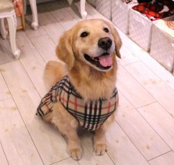 画像3: ベージュタータン柄フリースワンピ（フェミニン）・８号