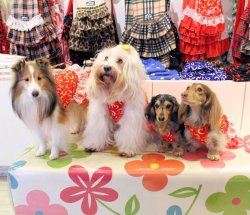 画像4: ライトツーウェイ☆ハート柄キャミワンピ（レッド）・４号