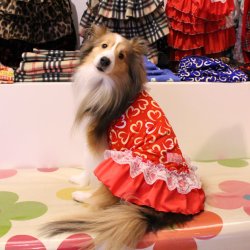 画像2: ライトツーウェイ☆ハート柄キャミワンピ（レッド）・４号