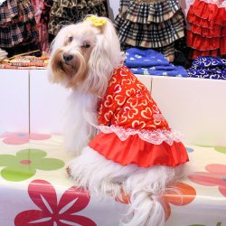 画像3: ライトツーウェイ☆ハート柄キャミワンピ（レッド）・４号