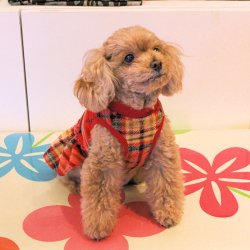 画像2: ウォームチェック柄 マイクロフリースワンピ・２号