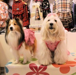 画像3: ツーウェイ☆麻の葉柄ワンピ（ピンク）・９号