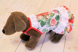 画像5: フルーツ柄ガーリーキャミワンピ（レッド）・０号