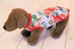 画像6: フルーツ柄タンク（レッド）・０号