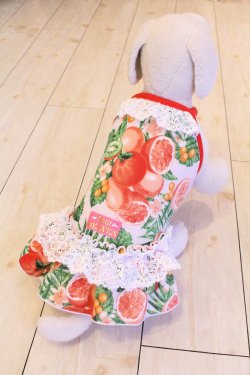 画像6: フルーツ柄ガーリーキャミワンピ（レッド）・０号