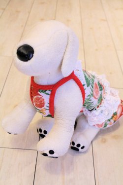 画像4: フルーツ柄ガーリーキャミワンピ（レッド）・０号