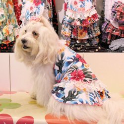 画像3: ツーウェイ☆ハイビスカス柄キャミワンピ(ガーリー)・２号