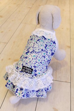 画像5: プチフルール柄キャミワンピ（ブルー）・３号