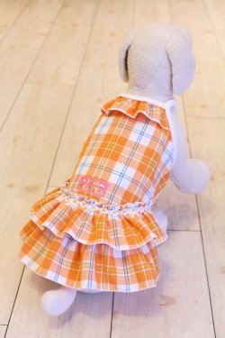 画像5: リフレッシュ☆チェック柄ワンピ（オレンジ）・０号